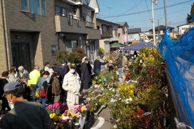 宮城まるごと探訪公式サイトより引用