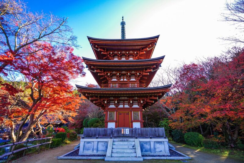 なら旅公式サイトより引用
