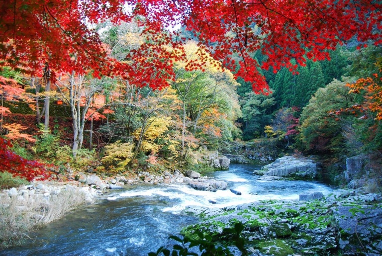 かがみの旅とくらし公式サイトより引用