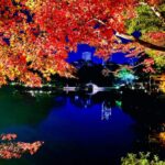 縮景園もみじまつり2025の日程・ライトアップ時間や見頃は？出店やアクセスや駐車場は？