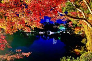 縮景園もみじまつり2025の日程・ライトアップ時間や見頃は?出店やアクセスや駐車場は?