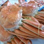 とよおか津居山港かにまつり2025の日程・時間や屋台は？アクセスや駐車場は？