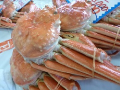 とよおか津居山港かにまつり2025の日程・時間や屋台は？アクセスや駐車場は？