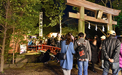 氷川神社公式サイトより引用
