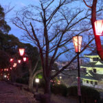 城山公園桜まつり2026のライトアップや屋台は？アクセスや交通規制や駐車場は？