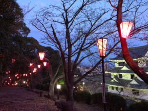 城山公園桜まつり2026のライトアップや屋台は?アクセスや交通規制や駐車場は?