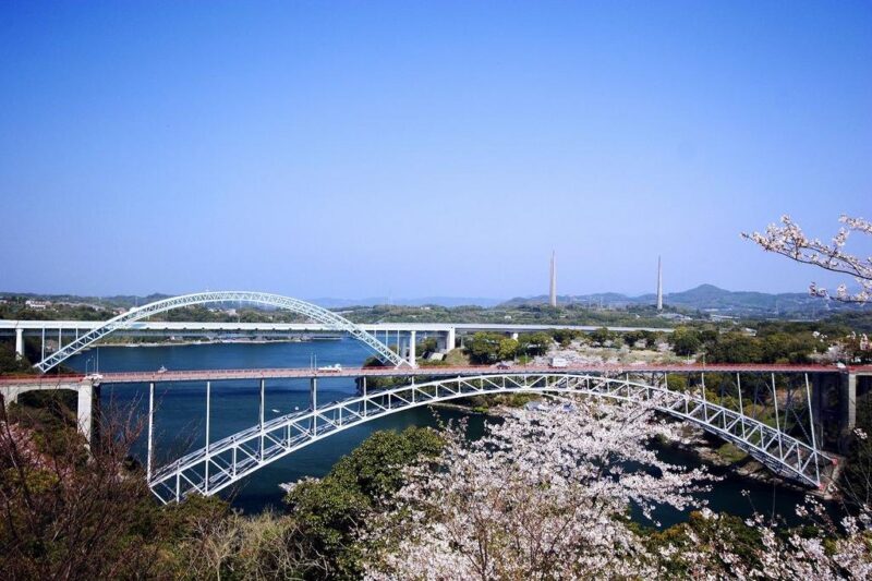 西海橋春のうず潮まつり2025桜見頃時期や開花状況は?屋台や駐車場やアクセスは?