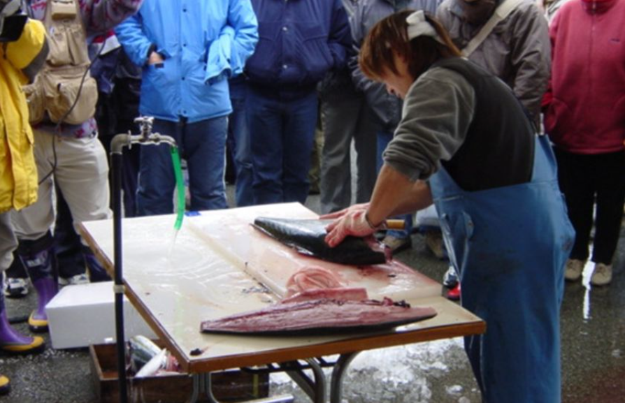 佐渡海府寒ブリ大漁まつり